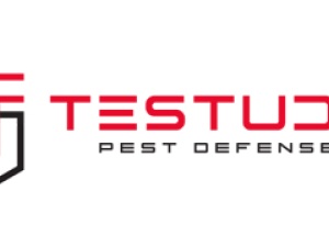 Testudo Pest Defense