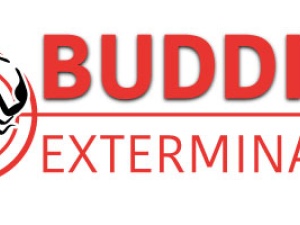 Buddies Exterminating